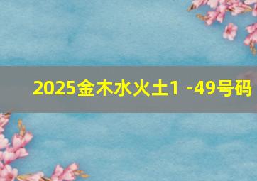 2025金木水火土1 -49号码